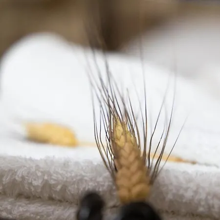 Apartment Stratis Tower Since 1892 Oitilon