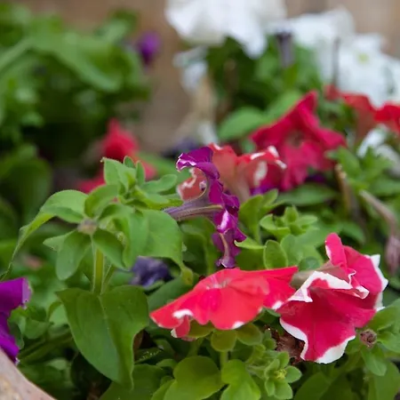 Stratis Tower Since 1892 *