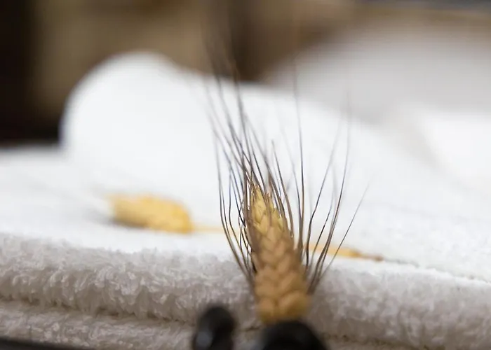 Apartment Stratis Tower Since 1892 Oitilon