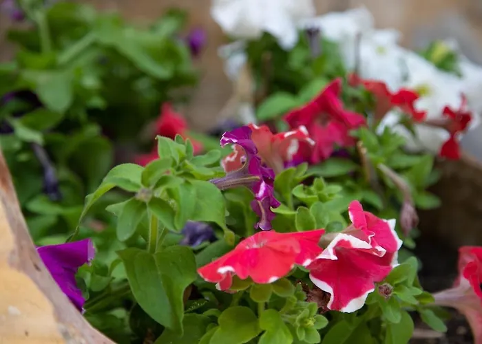 Stratis Tower Since 1892 *