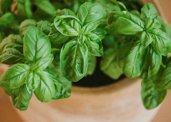 Stratis Tower Since 1892 Apartment